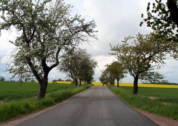 Motorväg Allmän Eller Privat Väg — Stockfoto