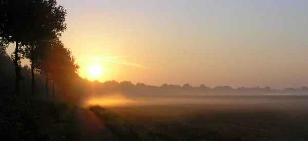 Tenhle Film Věnován Friedě Vidíš Cestu — Stock fotografie