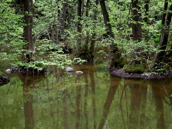 Krásný Výhled Krajinu Přírody — Stock fotografie