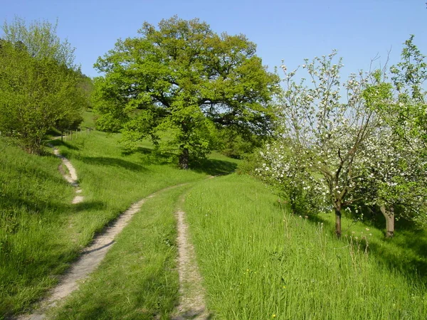 Schöne Aussicht Auf Die Natur — Stockfoto