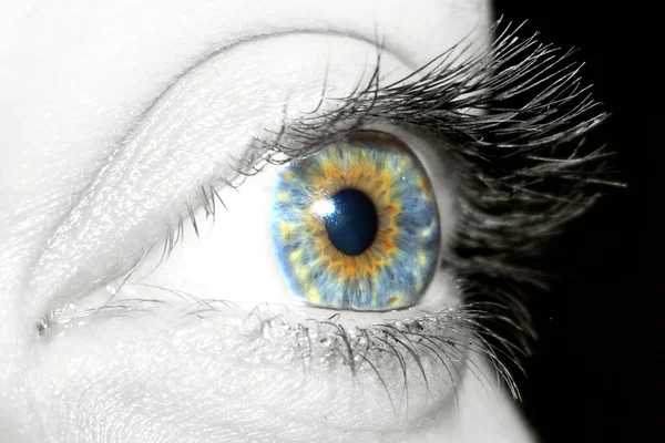 青い目をした人間の目 — ストック写真
