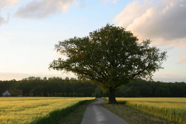 Vor Salzsethanen Aus Einem Anderen Blickwinkel — Stockfoto