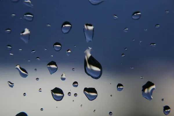 Reposo Después Tormenta — Foto de Stock