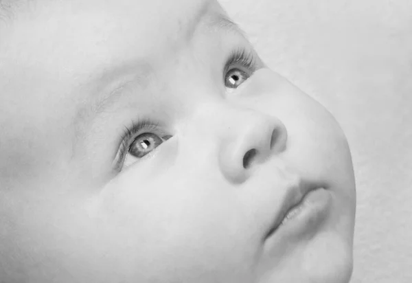 Closeup Portrait Cute Baby — Stock Photo, Image