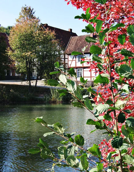 Jardín Japonés Primavera — Foto de Stock