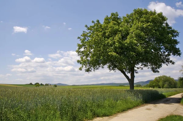 Utsikt Över Det Otroliga Landskapet — Stockfoto