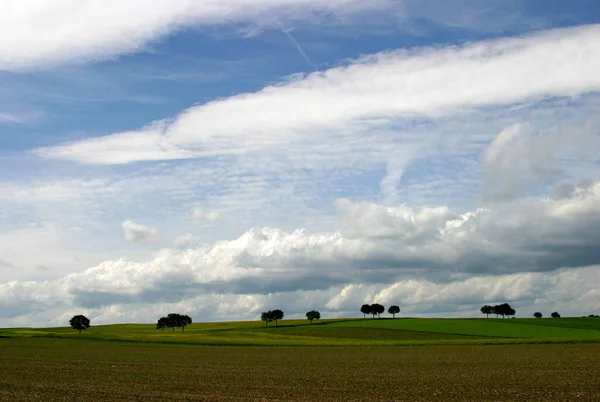 Landleben Selektiver Fokus — Stockfoto