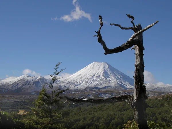 Doğanın Güzel Manzarası — Stok fotoğraf