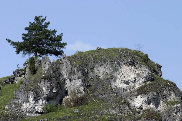 Різна Архітектура Вибірковий Фокус — стокове фото