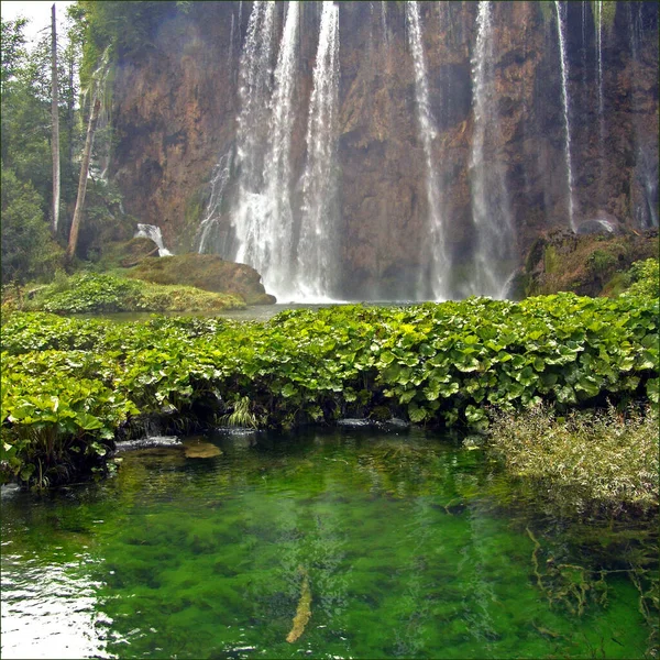 Hermosa Cascada Sobre Fondo Naturaleza — Foto de Stock