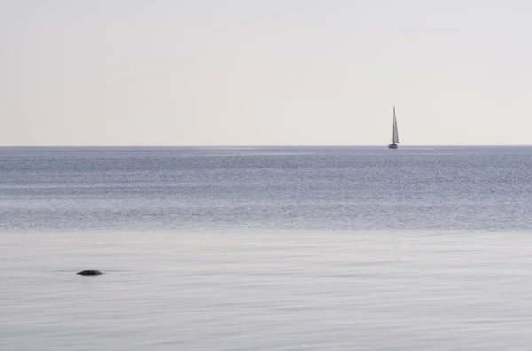 Roccia Nel Surf — Foto Stock