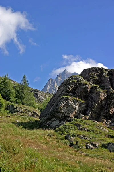 Wrażenia Górskie Szwajcaria — Zdjęcie stockowe