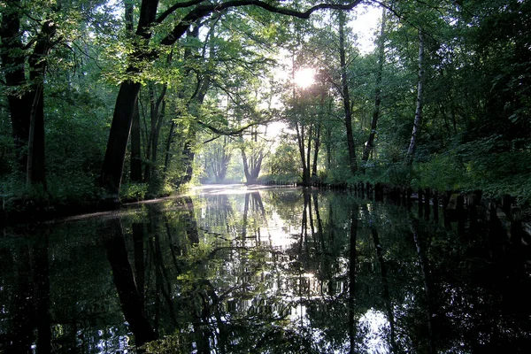 Kteří Sedí Člunu Brzy Hodin Mohou Zažít Takové Chvíle — Stock fotografie