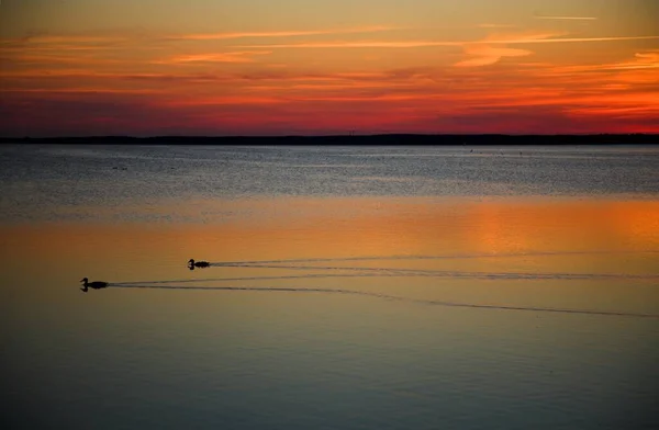 Avond Schilderachtige Zonsondergang Hemel — Stockfoto