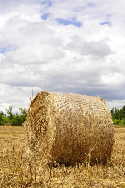 Campo Agrícola Com Fardos Palha — Fotografia de Stock