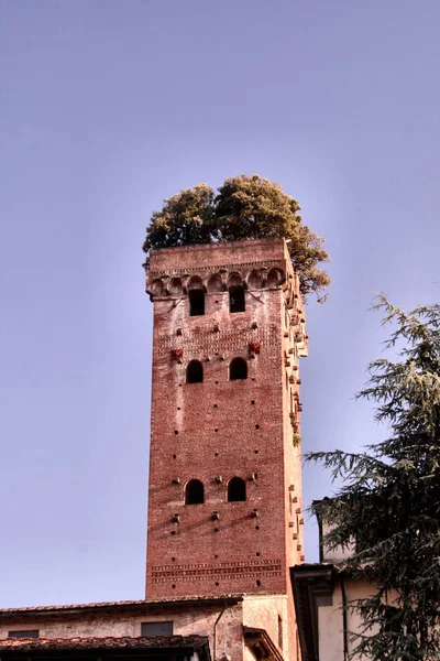 Torre Familia Guinigi Alza Distrito Lucca Mediana Edad Desde Jdt —  Fotos de Stock