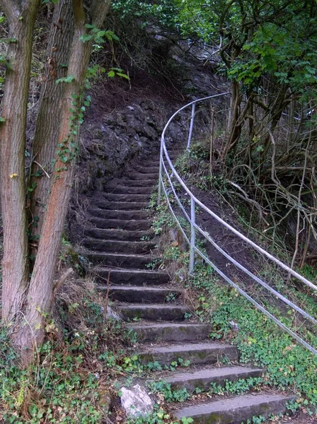 Viejas Escaleras Madera Bosque —  Fotos de Stock