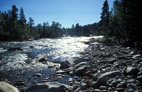 Vacker Utsikt Över Naturen — Stockfoto