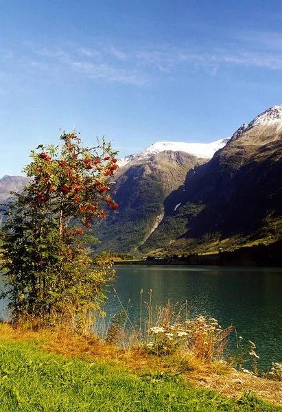 Noruega Sobre Paisagem Natural Fundo — Fotografia de Stock
