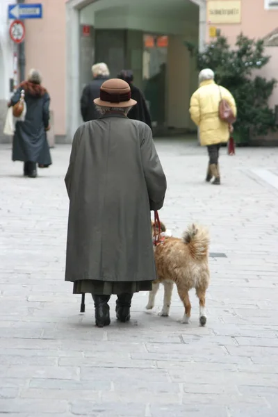 通りを犬が歩いている若い女性が — ストック写真