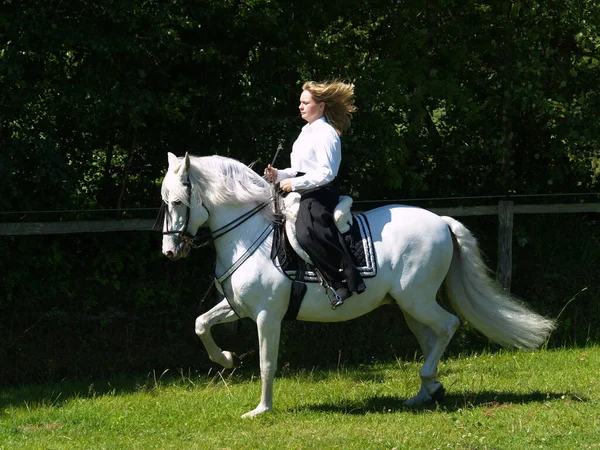 Junge Frau Reitet Pferd Park — Stockfoto