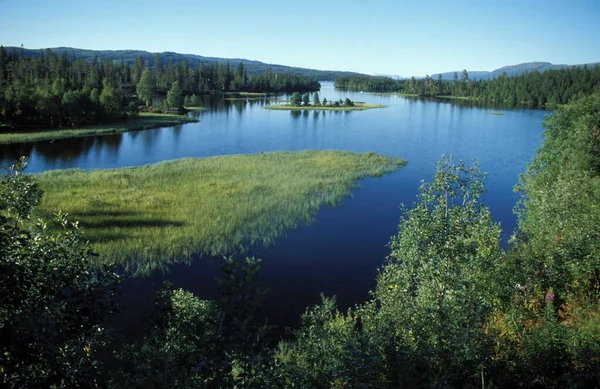 Scandinavie Est Une Sous Région Europe Nord Avec Forts Liens — Photo