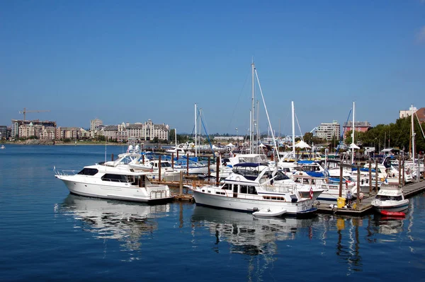 Stadsgezicht Van Vancouver Canada British Columbia — Stockfoto