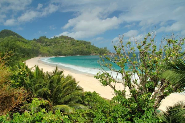 Strand Szene Natürliches Wasser — Stockfoto