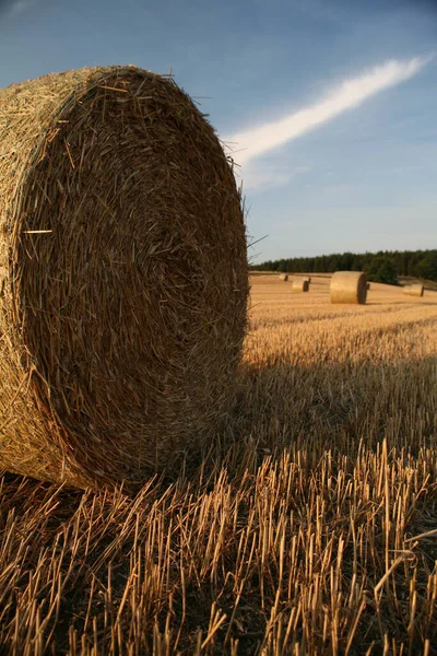 Bale Stubb Fält — Stockfoto