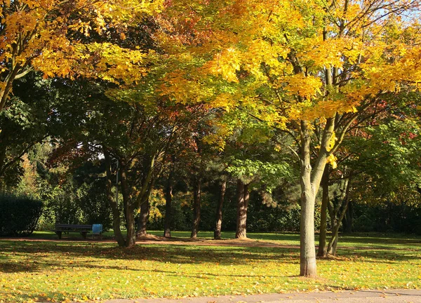 Piękny Park Miejski Jesienią — Zdjęcie stockowe