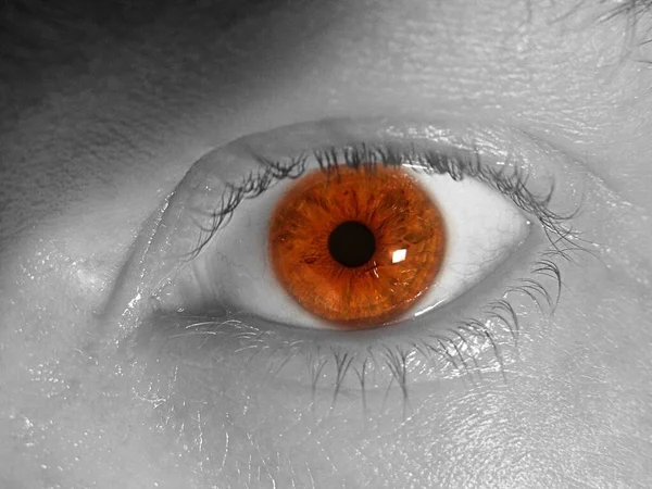 Ανθρώπινο Μάτι Μια Σταγόνα — Φωτογραφία Αρχείου