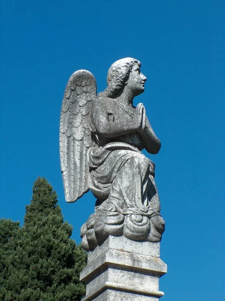 Statue Lion Cemetery — Stock Photo, Image