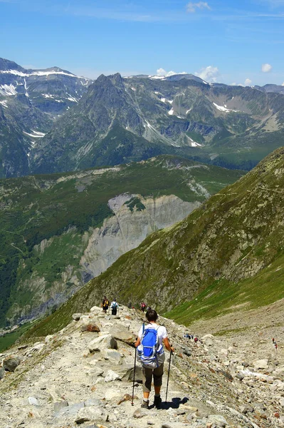 Bergwanderung Den Alpen — Stockfoto