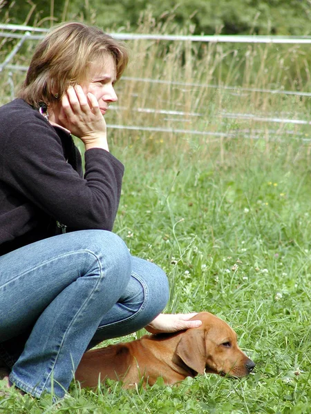 Bild Der Schönen Frau — Stockfoto