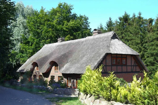 Schlewig Holstein Ormanda Yalnız Bir Kır Evi — Stok fotoğraf