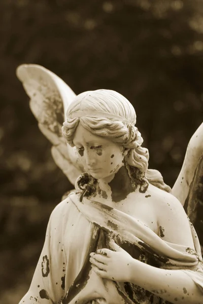 Zbliżenie Zabytkowego Posągu Kształcie Anioła — Zdjęcie stockowe
