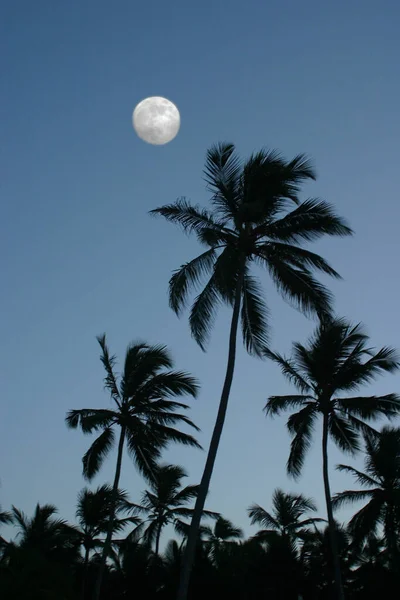 Clear Moon Caribbean — Stock Photo, Image