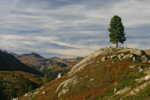 Scenic View Beautiful Alps Landscape — Stock Photo, Image