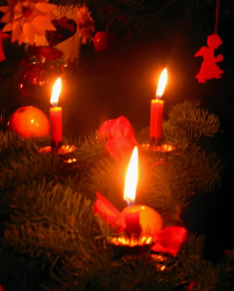 Christmas Tree Holiday Decoration — Stock Photo, Image