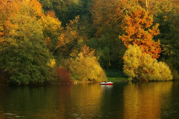 Paisaje Otoñal Con Árboles Lago —  Fotos de Stock