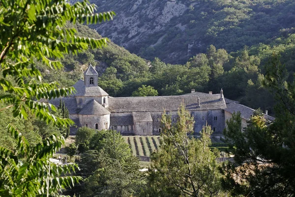 Abbaye Notre Dame Senanque Provence — Stok fotoğraf