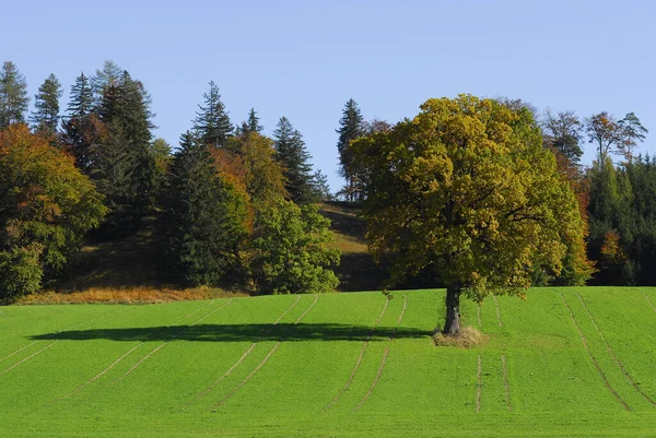 ドイツのバイエルン州の美しい土地面積 — ストック写真