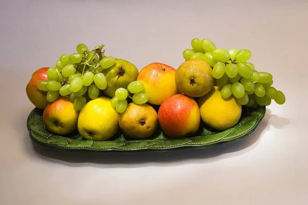 Close Still Life — Stock Photo, Image