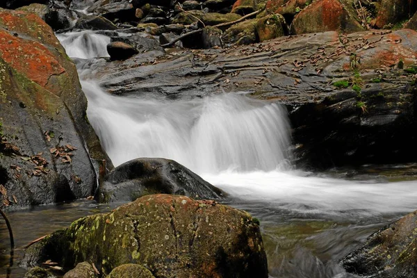 Vacker Utsikt Över Naturen — Stockfoto