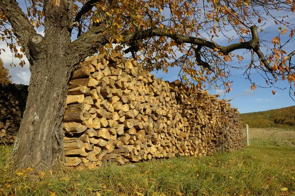 Hromada Dřeva Podpal Dřevěný Materiál — Stock fotografie