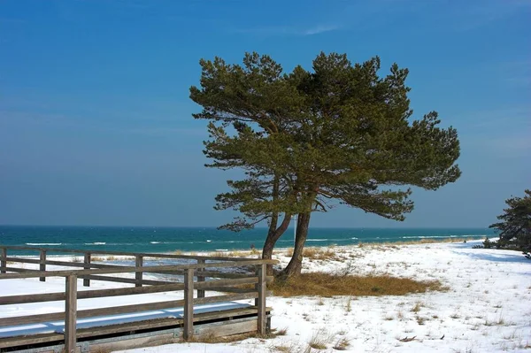 Winter Der Ostsee — Stockfoto