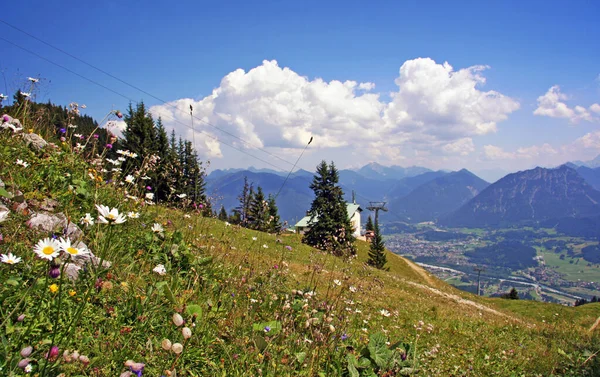 Панорама Альп — стокове фото