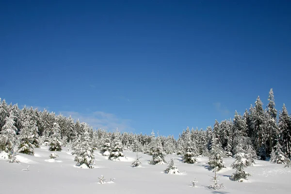 Vue Panoramique Sur Paysage Hivernal — Photo