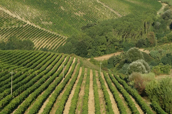 Toscana Landsbygd Centrala Italien — Stockfoto