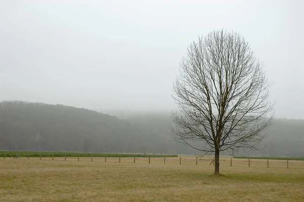 Schöne Aussicht Auf Die Natur — Stockfoto